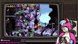 The Christmas Experiment! | DKC 3