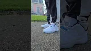 Jordan 11 low 