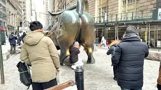 Conociendo El Toro de Wall Street New York 