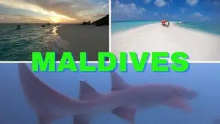 Fulidhoo Maldives Diving - Shipwreck - Sandbank