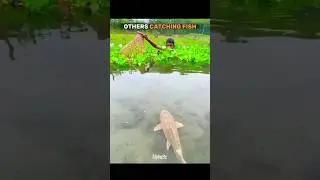 Others Catching Fish vs The last One ☠️ | #troll #edit #fyp #usa #trollface