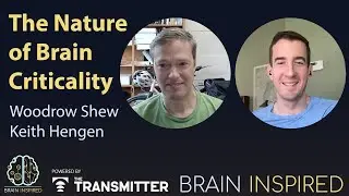 BI 216 Woodrow Shew and Keith Hengen: The Nature of Brain Criticality