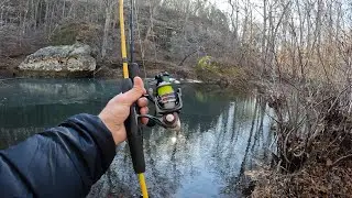 Fishing a spring fed creek and hiking in the Shawnee national forest