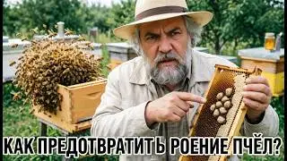 Профессор Кашковский: Как предотвратить роение пчёл?