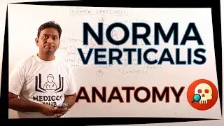 ANA.HNB.001: Norma Verticalis | Anatomy | Dr. Prashant Sharma