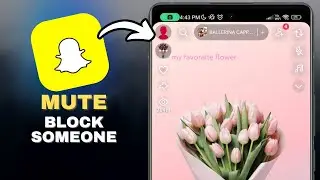 How to Mute or Block Someone on Snapchat Without Unfriending in SECONDS!
