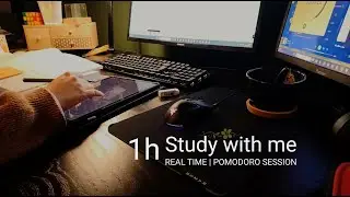1 hour study with me | Timer + firepit sound
