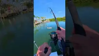 I Caught a Monster 🐟🎣