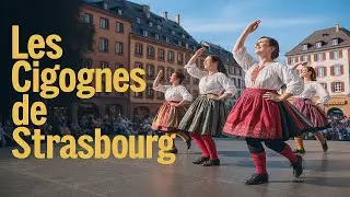 Les Cigognes de Strasbourg : La Perle Folklorique d'Alsace🥨