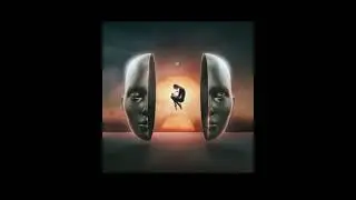 Leozi - Reflectro
