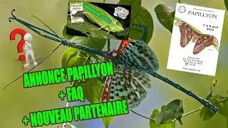 ANNONCE PAPILLYON + FAQ + NOUVEAU PARTENAIRE