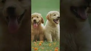 Animals we tried to domesticate but failed!