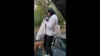 Очередные разборки в такси