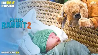 खरगोशों ने थॉमस के बच्चे के साथ खेल खेला 🐰👶 | Peter Rabbit 2 | Climax Scene In Hindi Dubbed