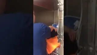 Cat Kennel