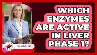 Which Enzymes Are Active In Liver Phase 1?