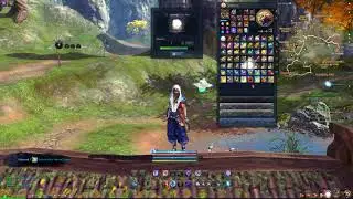 Blade & Soul Feline Fortune Crate 50 GEM POWER!