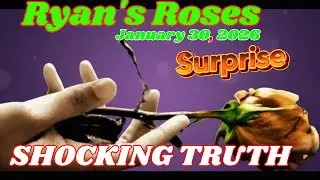 Ryan&rsquo;s Roses (January 30, 2026): Alyssa & Tyler &mdash; A Shocking Truth Came Out