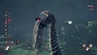DBD #44; Wraith & Nurse (2v8)