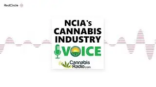 NCIA Cannabis Industry Voice - SEO Optimization for Cannabis Websites with Dmytro Syvak