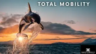 TOTAL MOBILITY 6