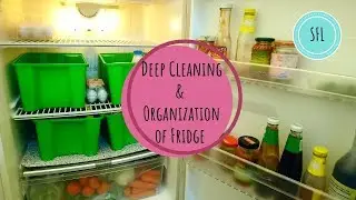 Fridge Cleaning And Organization Tips | My Fridge Deep Cleaning Routine | Simple Frugal Life