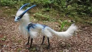 10 Unique Exotic Birds In The World