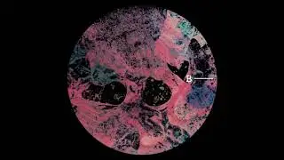 Error Etica - Hologram Universe [COMLTD010]