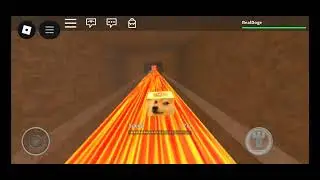 Playing roblox going to 2014 (because the doge is my fake avatar it's only in that game)