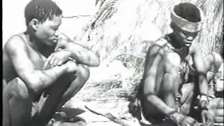 LOST WORLD OF THE KALAHARI