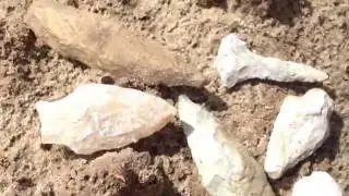 Learning Time! ~ 470  Artifact Find! Sept 2016