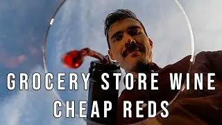 Learn How To Taste Wine With Cheap Grocery Store Reds
