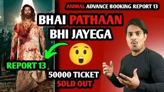 Animal Day 1 Advance Booking Report 13 | Animal Extraordinary Advance Booking 13 | #animal