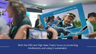 'Celebrate High Seas Action' Event at COP16 Colombia