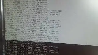 Deep Inside a DNS Amplification DDoS Attack