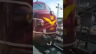 Vintage train My-1135#veterantog#vintagetrains#fypシ #youtubeshorts #shortsfeed #shorts  #denmark
