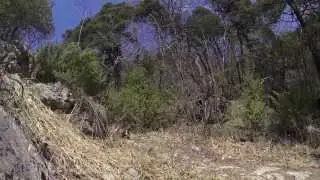 Trail Running by Kids
