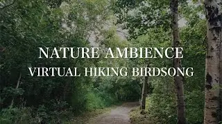 🇨🇦 4K Relaxing Nature Ambience | asmr Virtual Hiking Birdsong | Insomnia Mindfulness Serenity
