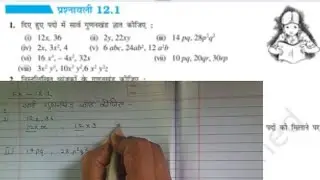 NCERT👉 CLASS-8th💥 Math Exercise-12.1 💯complete solution 
