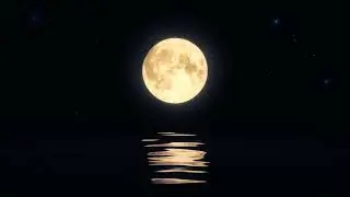 Mesmerizing Moon Reflection on Water #moon #backgroundvideo #romantic