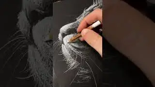 Disegno un semplice gattino