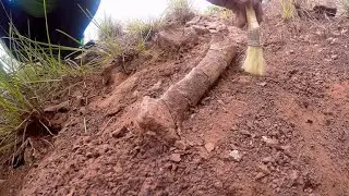 This Chinese Region is a Treasure Trove of Dinosaur Discoveries