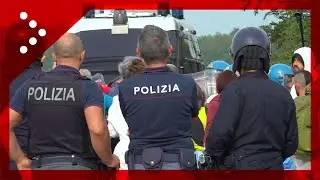 Peste suina, tensione tra attivisti e polizia durante sgombero rifugio CuoriLiberi di Sairano (PV)