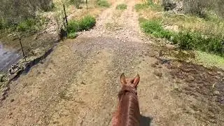 Crossing a creek on the Huasna Ranch during an endurance ride