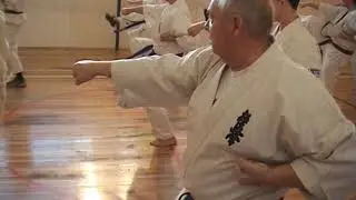 2010 А И Танюшкин Экзамен  требования 2 кю 2 Дан ч  1