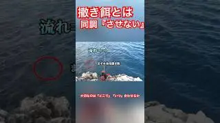 夏場ほど撒き餌とサシエサの距離を離していきます！大切なのはどこで、かあつ同調させるか！#沖縄　#釣り　#フカセ釣り　#仕掛け　#撒き餌