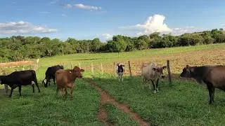 I stopped pumping milk twice a day!!!