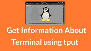 Получите информацию о терминале с помощью команды tput из оболочки Linux