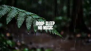 Relaxing Sleep ASMR &ndash; Forest Night Rain Ambience | No Music