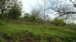 Ի քէզ Տէր յուսացայ